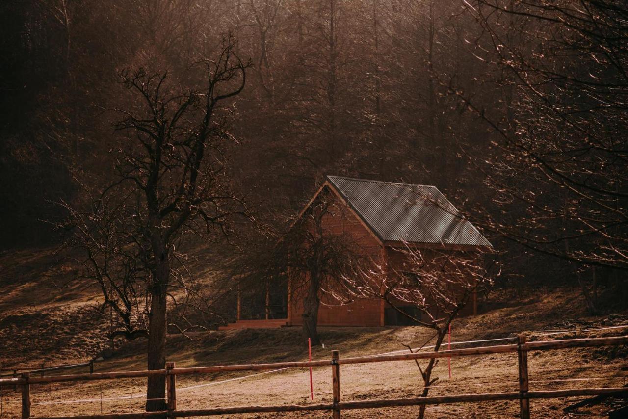 Osada Krasne - Noclegi Blisko Natury Bukowiec  Exterior photo