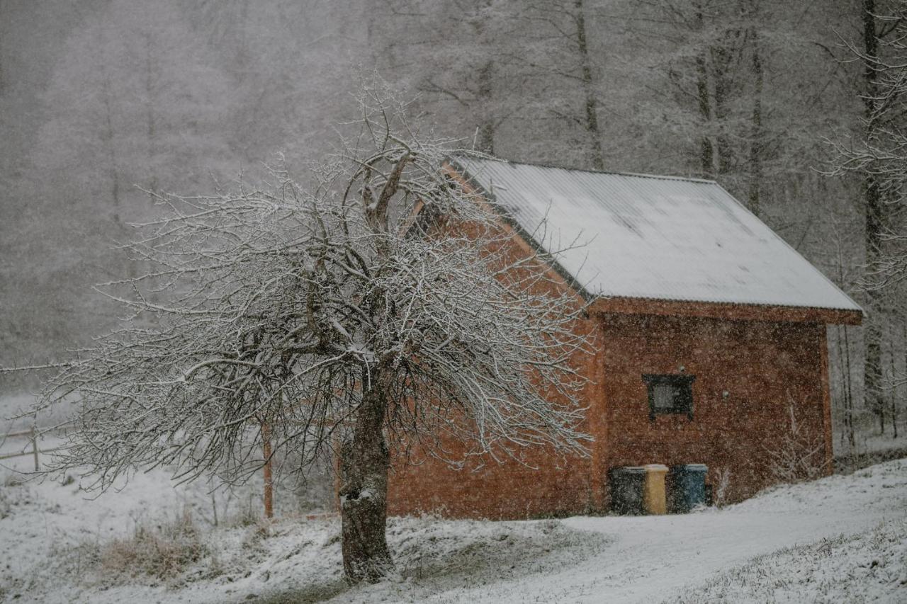 Osada Krasne - Noclegi Blisko Natury Bukowiec  Exterior photo