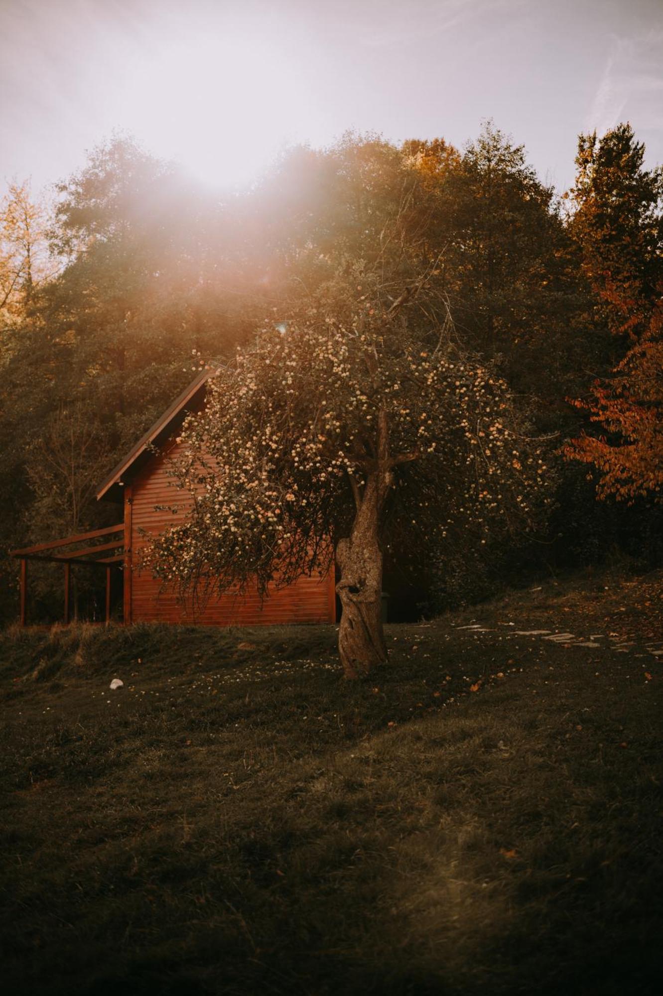 Osada Krasne - Noclegi Blisko Natury Bukowiec  Exterior photo